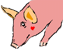 豚